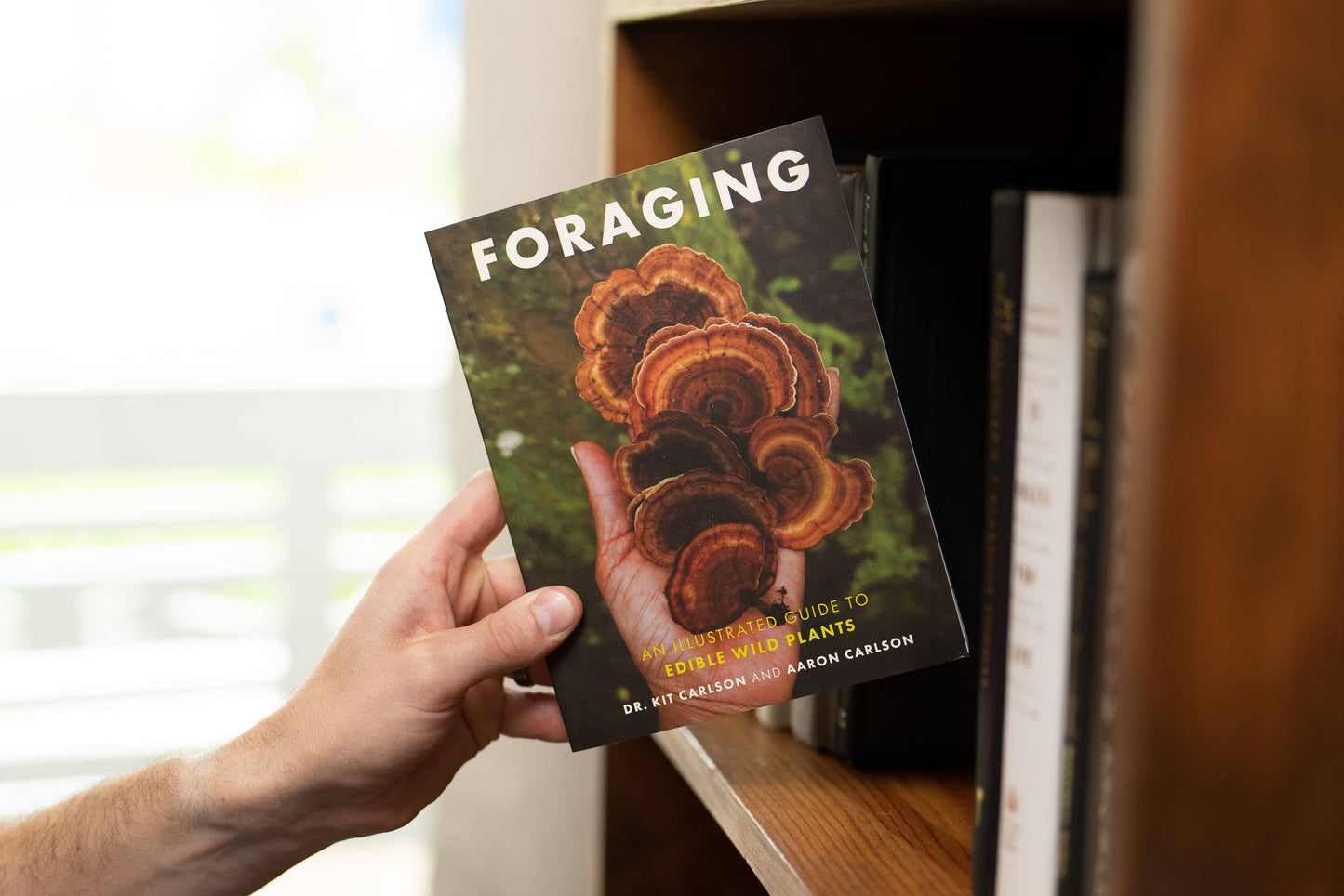 Foraging: An Illustrated Guide to Edible Wild Plants
