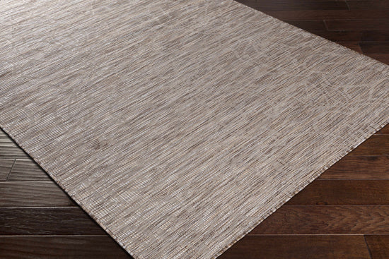 Bensenville Flatweave Outdoor Area Carpet - Clearance