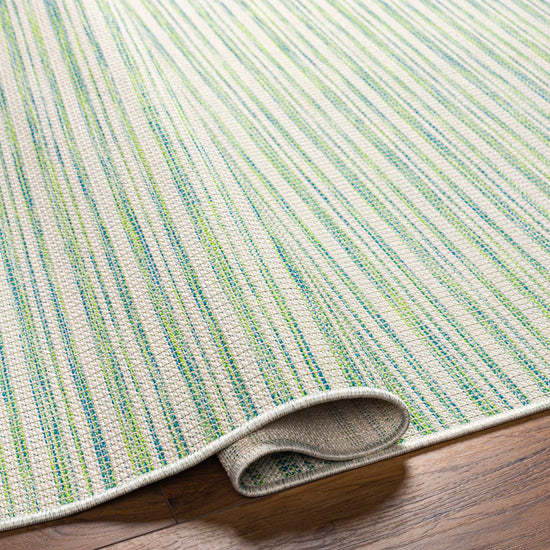 Greg Green Outdoor Area Rug - Clearance