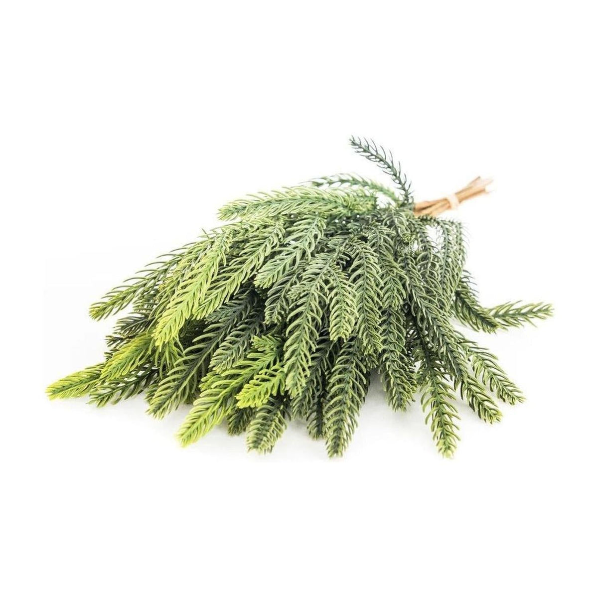 18" Balsam Fir Bundle