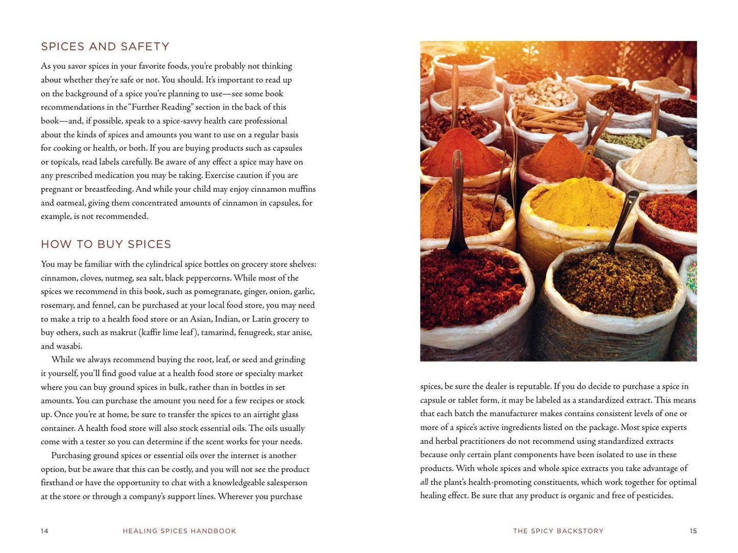 Healing Spices Handbook: Recipes for Natural Living