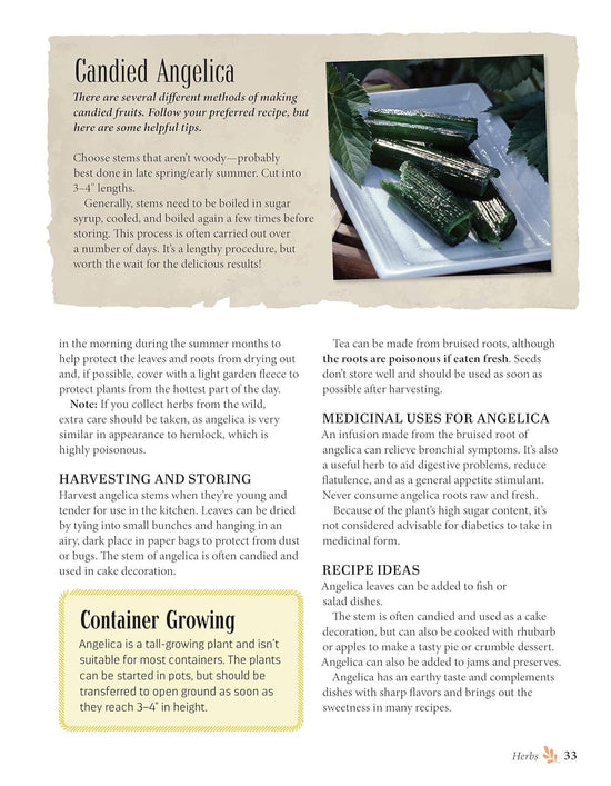 Complete Guide to Growing and Cultivating Herbs & Spices