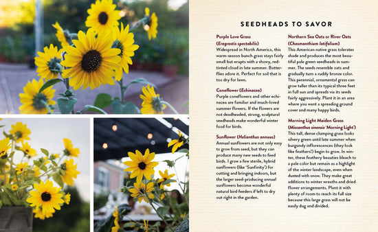 Seedtime and Harvest