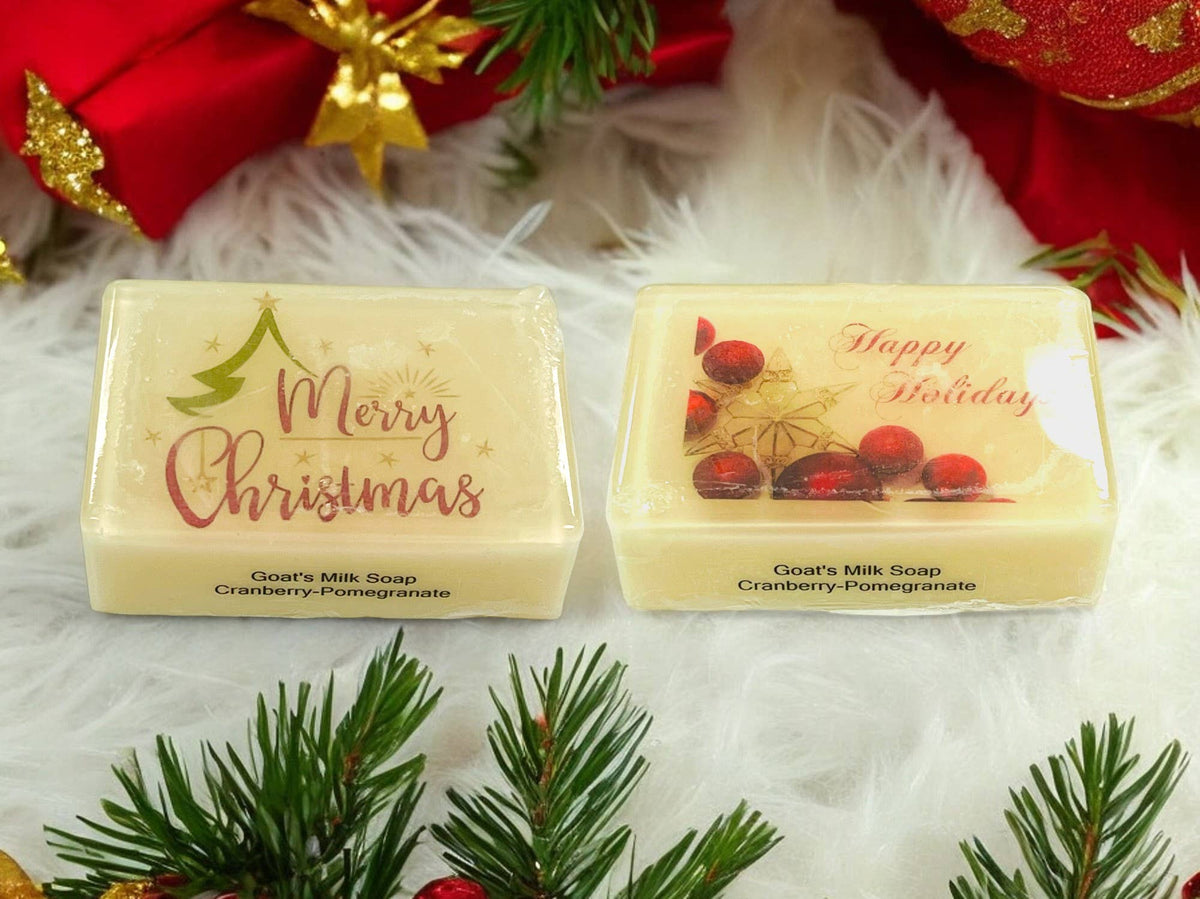 Christmas Picture Soap