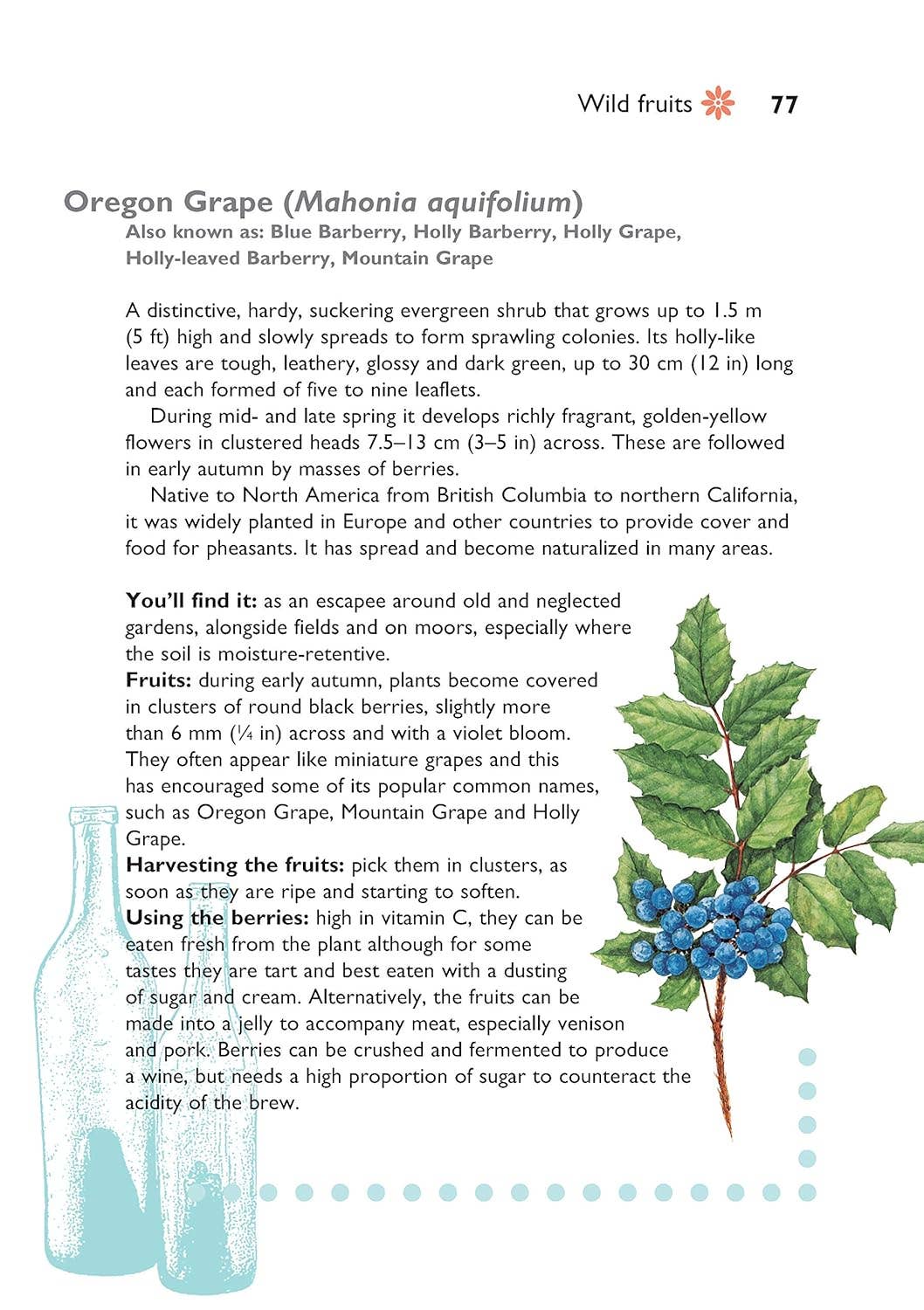 Self-Sufficiency - Foraging for Wild Food
