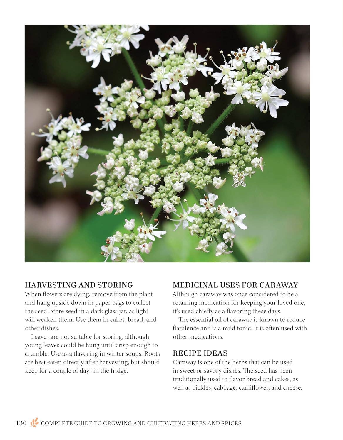 Complete Guide to Growing and Cultivating Herbs & Spices