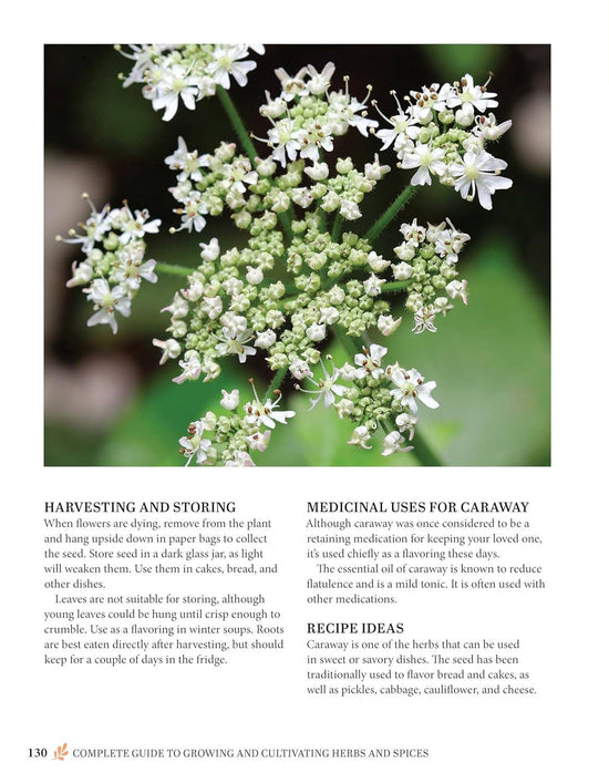 Complete Guide to Growing and Cultivating Herbs & Spices
