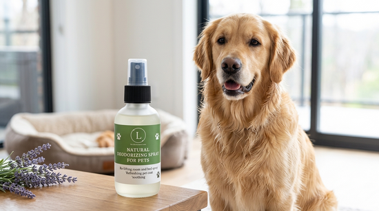 Natural Pet Pampering Gift Box – Dog & Cat Spa Care Set