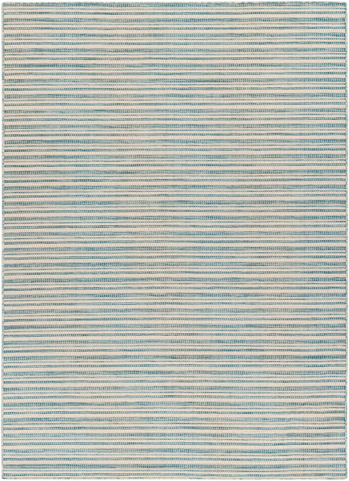 Greg Teal Outdoor Area Rug - Clearance