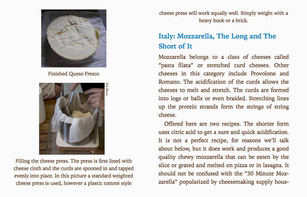 Everyday Cheesemaking: Dairy & Nut Cheese at Home