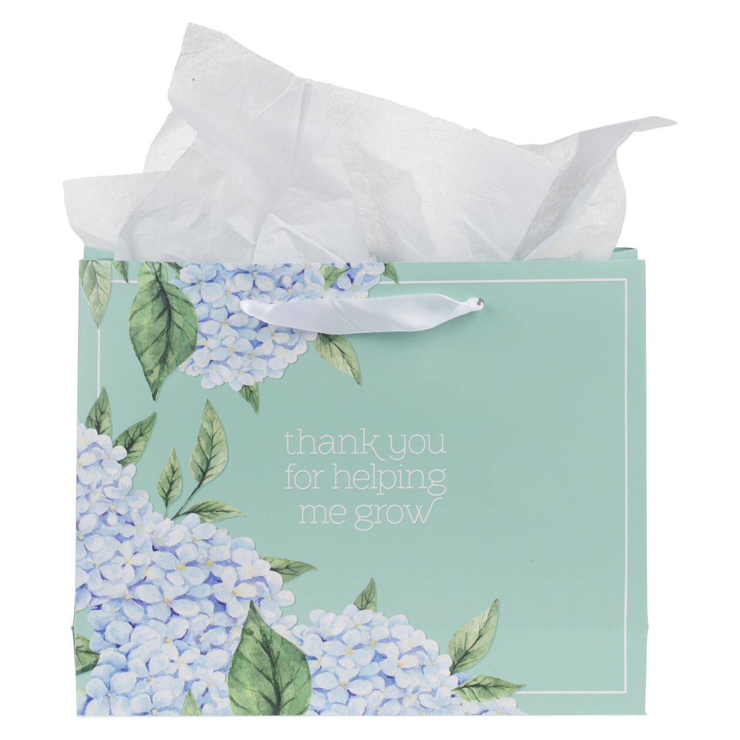 Gift Bag w/ Card LG Landscape Helping Me Grow