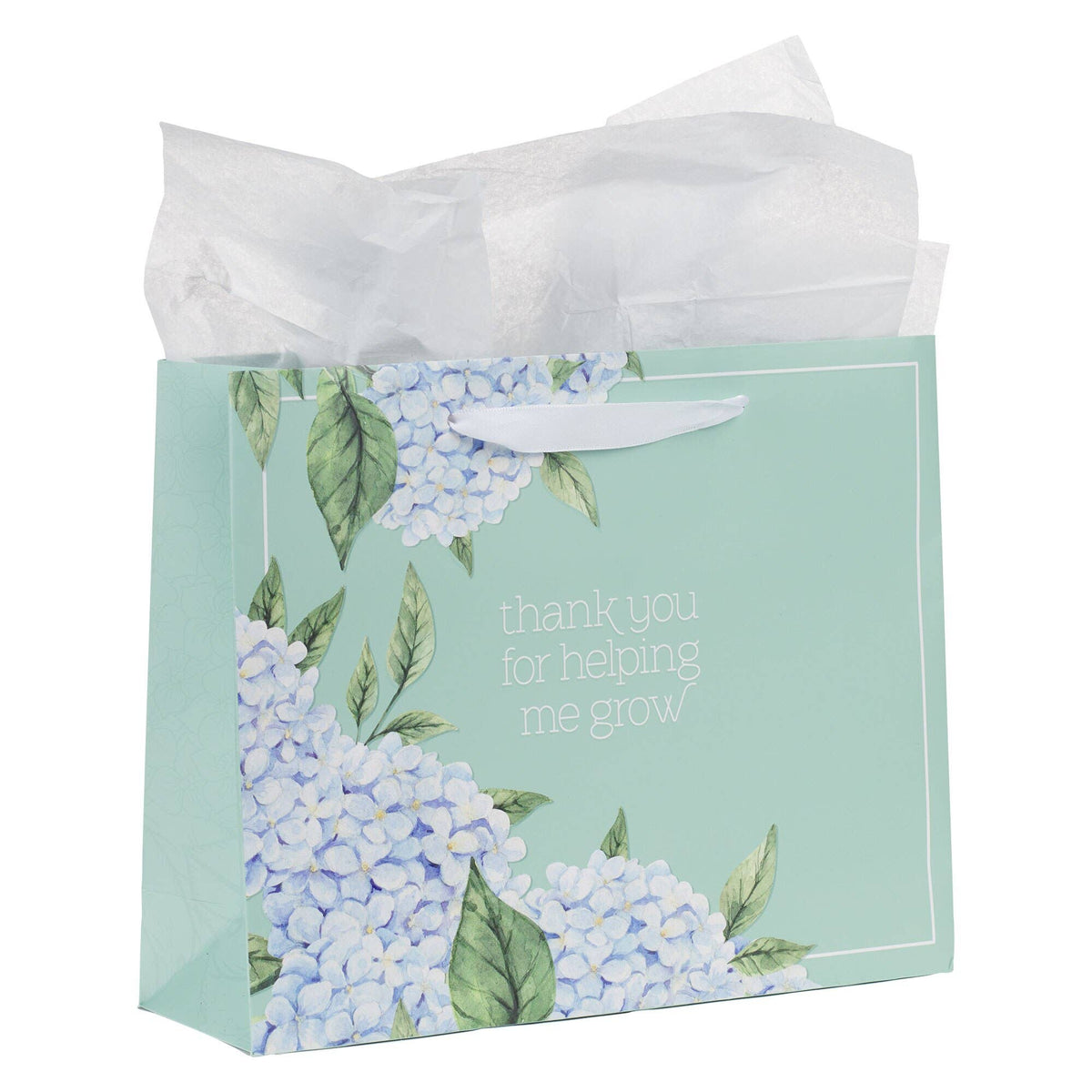 Gift Bag w/ Card LG Landscape Helping Me Grow