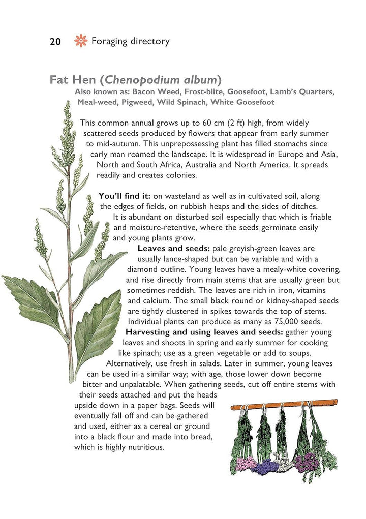 Self-Sufficiency - Foraging for Wild Food