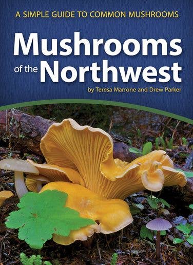 Mushrooms Of The Northwest