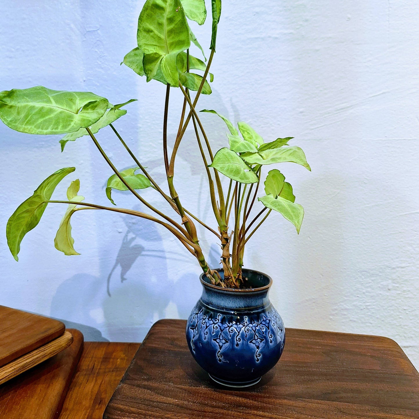 Handmade Stoneware Tabletop Planter Decoration Made to Order