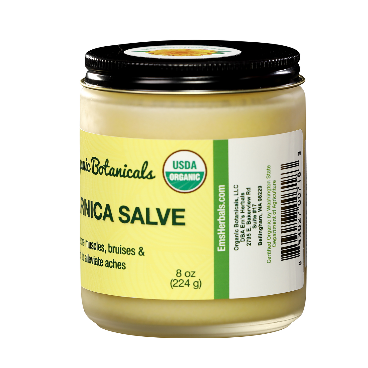 Pure Arnica Salve