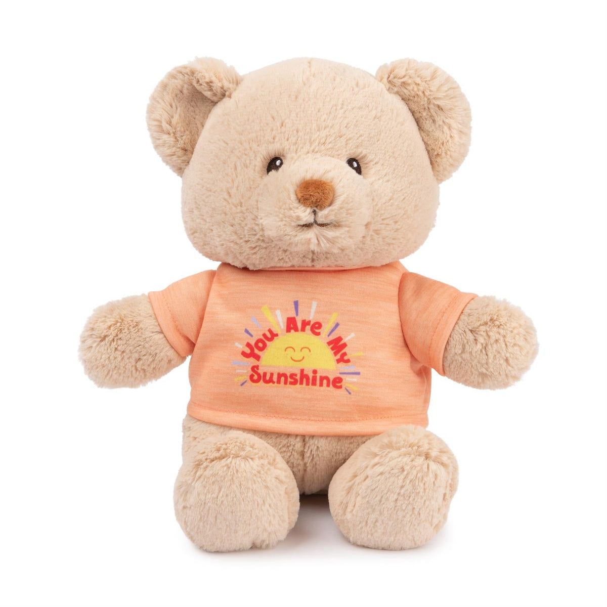 You Are my Sunshine Message Bear