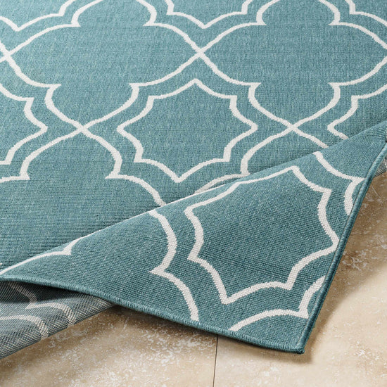 Folsom Outdoor Area Rug - Clearance