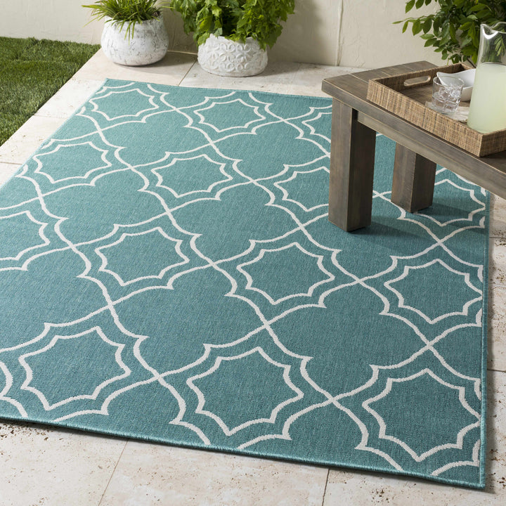 Folsom Outdoor Area Rug - Clearance