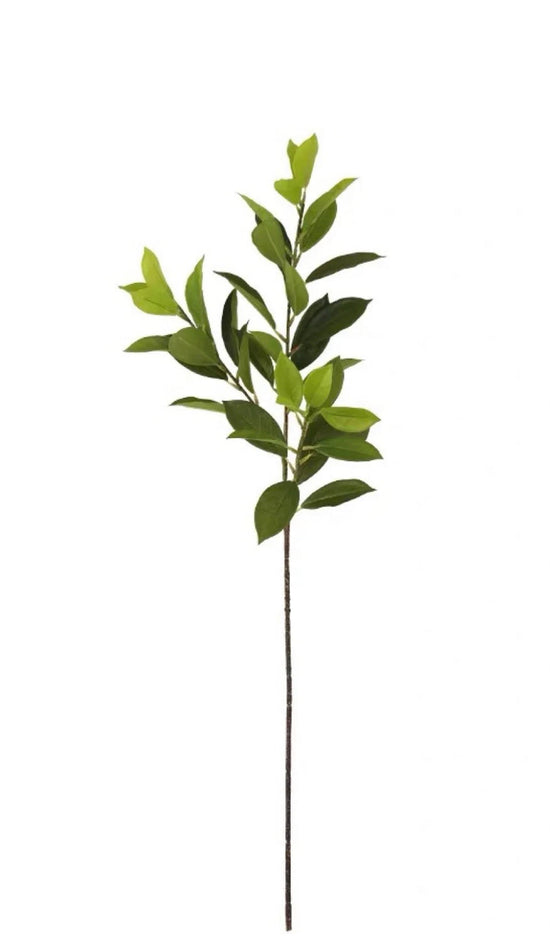 Artificial Bay Leaf  Stems - Bundle of 4