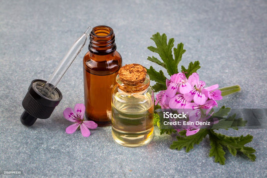 Morning Mist Rose Geranium Essential Oil