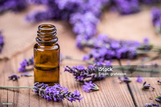 Morning Mist Lavender Essential Oil