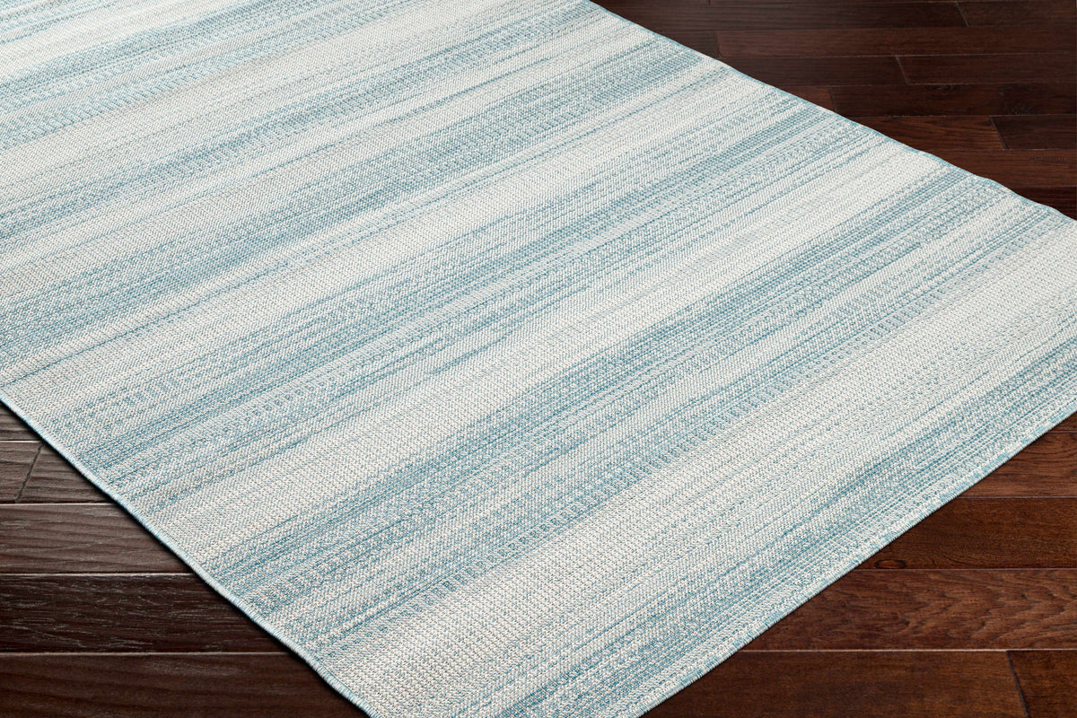 Kris Teal Outdoor Area Rug - Clearance