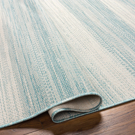 Kris Teal Outdoor Area Rug - Clearance