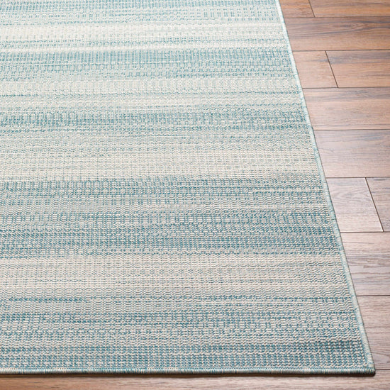 Kris Teal Outdoor Area Rug - Clearance