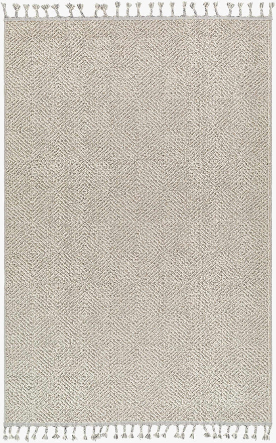 Broox Gray Outdoor Area Rug - Clearance