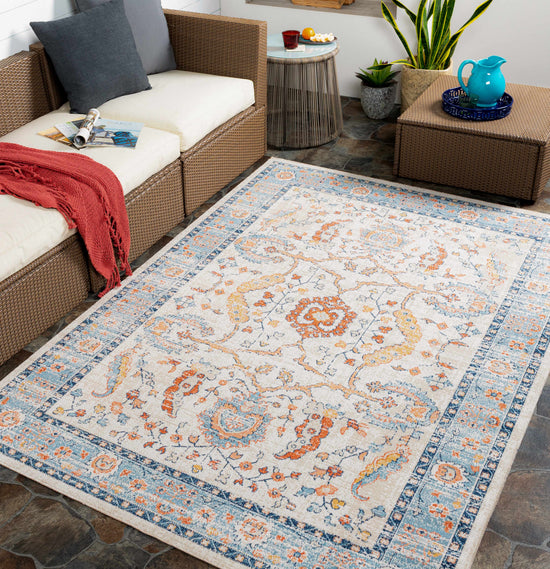 Shafter Traditional Outdoor Area Rug - Clearance