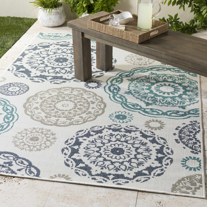 Shonkin Outdoor Area Rug - Clearance