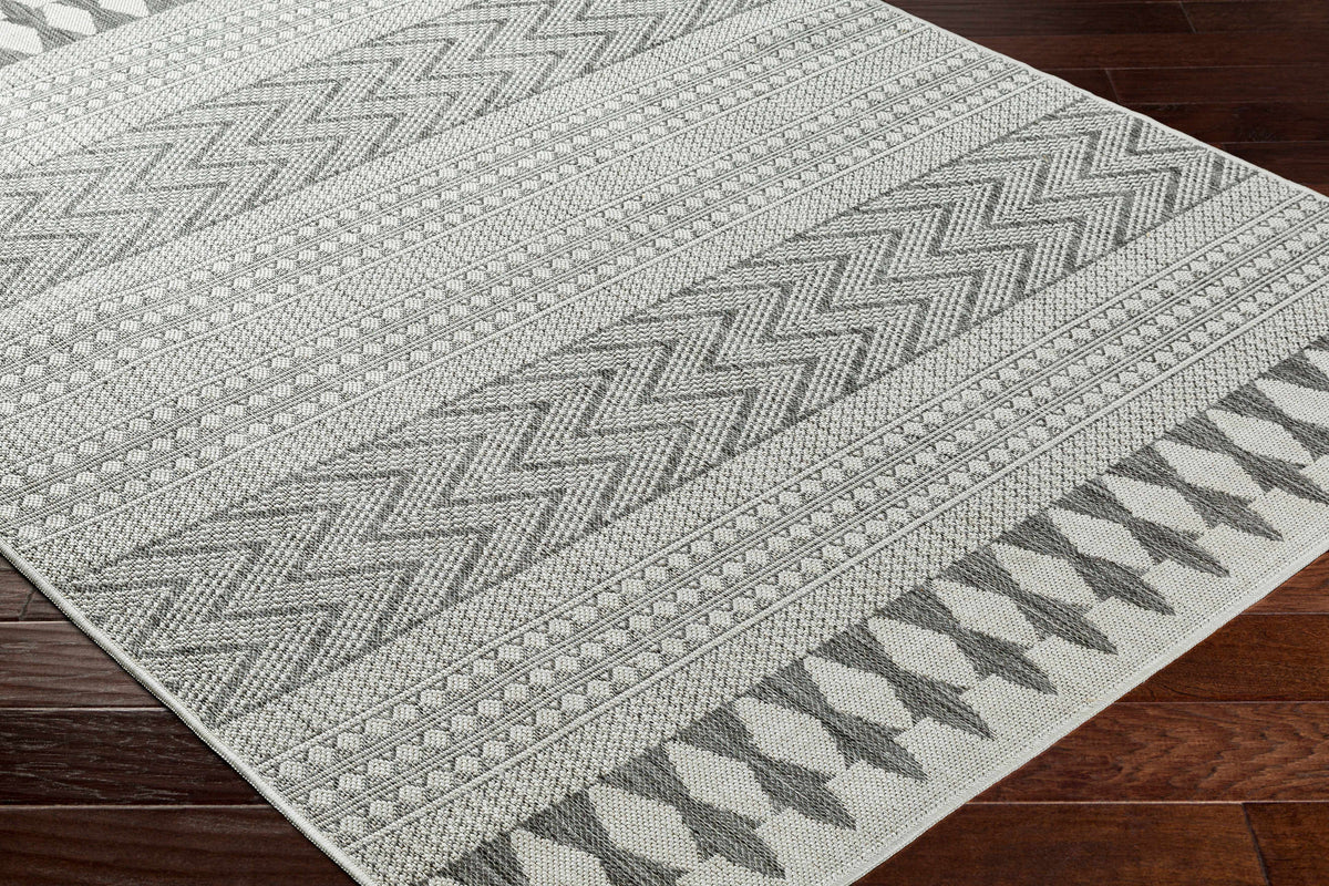 Asif Gray Outdoor Area Rug - Clearance