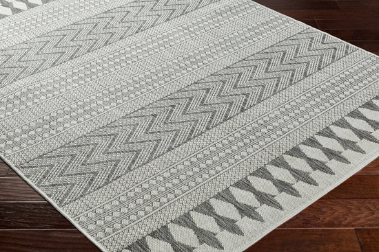 Asif Gray Outdoor Area Rug - Clearance