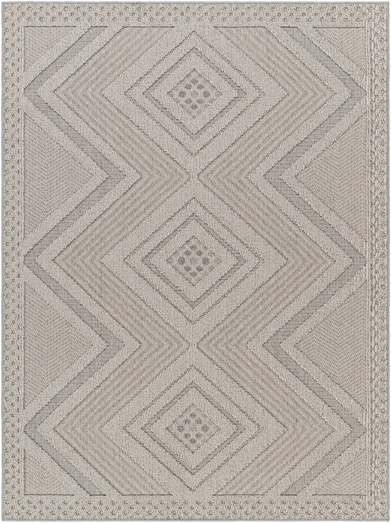 Aimee Natural Gray Outdoor Area Rug - Clearance