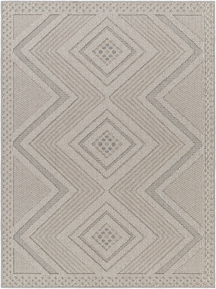 Aimee Natural Gray Outdoor Area Rug - Clearance