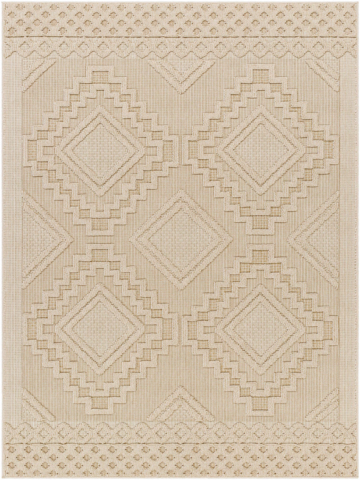 Arwid Bone Outdoor Area Rug - Clearance