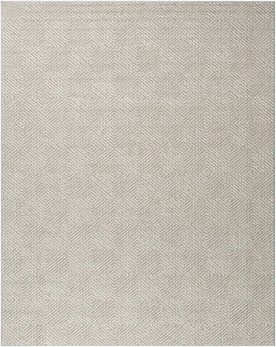Broox Gray Outdoor Area Rug - Clearance