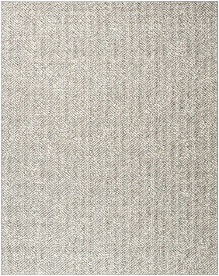 Broox Gray Outdoor Area Rug - Clearance