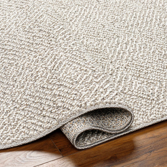 Broox Gray Outdoor Area Rug - Clearance