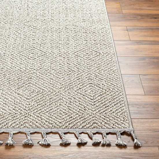 Broox Gray Outdoor Area Rug - Clearance