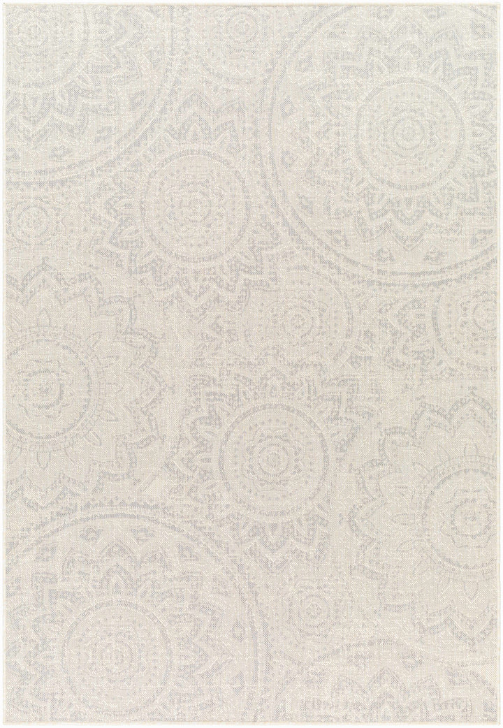 Ayala Cream Outdoor Area Rug - Clearance