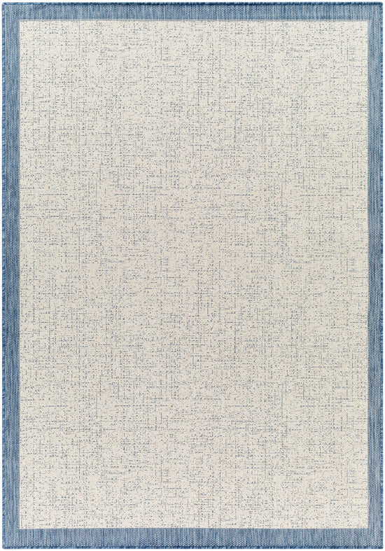 Demas Blue & Cream Outdoor Area Rug - Clearance