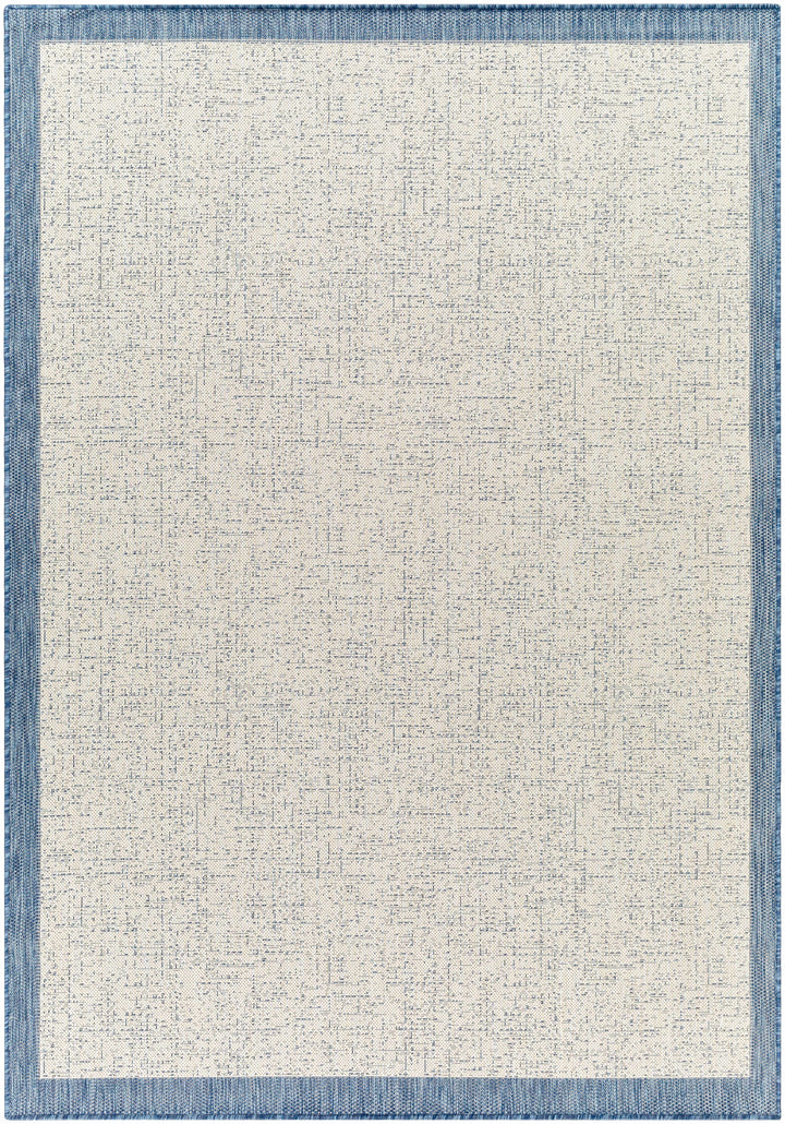 Demas Blue & Cream Outdoor Area Rug - Clearance