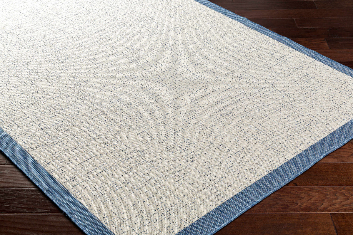 Demas Blue & Cream Outdoor Area Rug - Clearance
