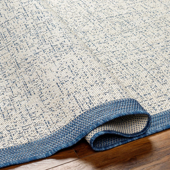 Demas Blue & Cream Outdoor Area Rug - Clearance