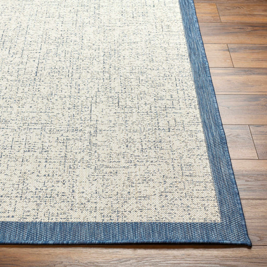 Demas Blue & Cream Outdoor Area Rug - Clearance