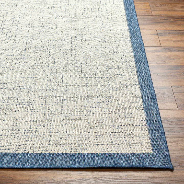 Demas Blue & Cream Outdoor Area Rug - Clearance