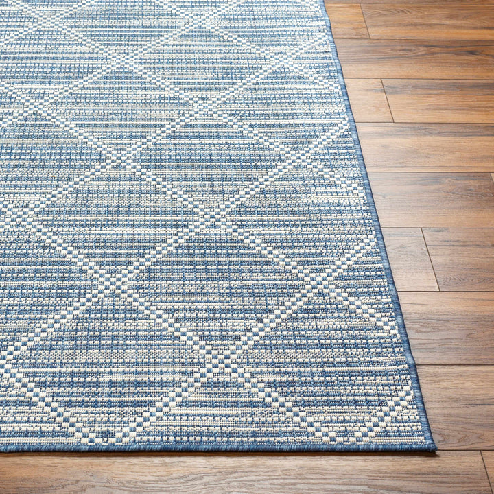 Ivora Blue Outdoor Area Rug - Clearance
