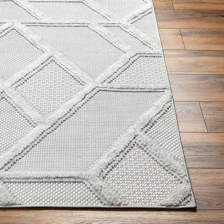 Cadak Outdoor Area Rug - Clearance